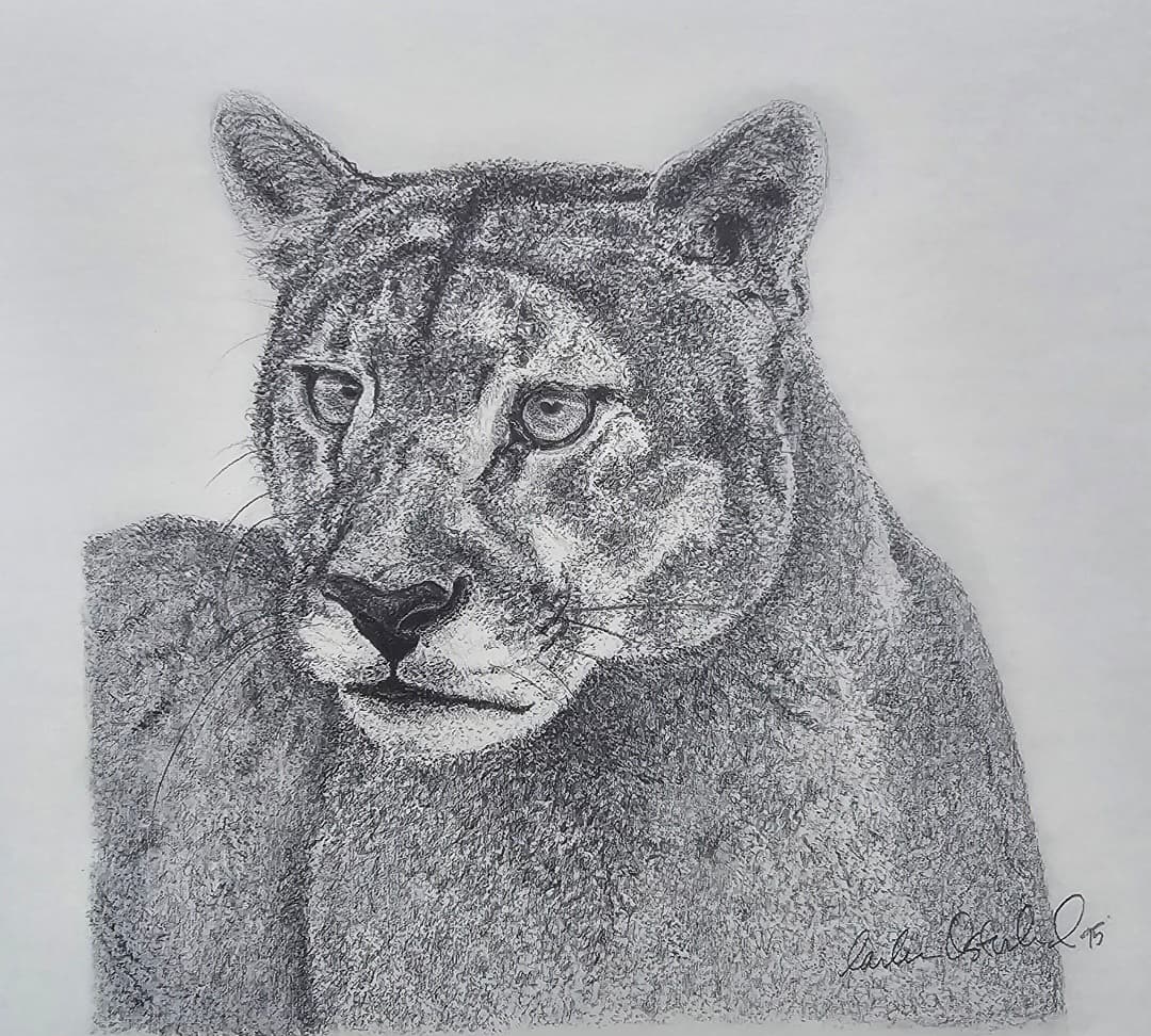 Cougar Metal Print by Moss Creek Art