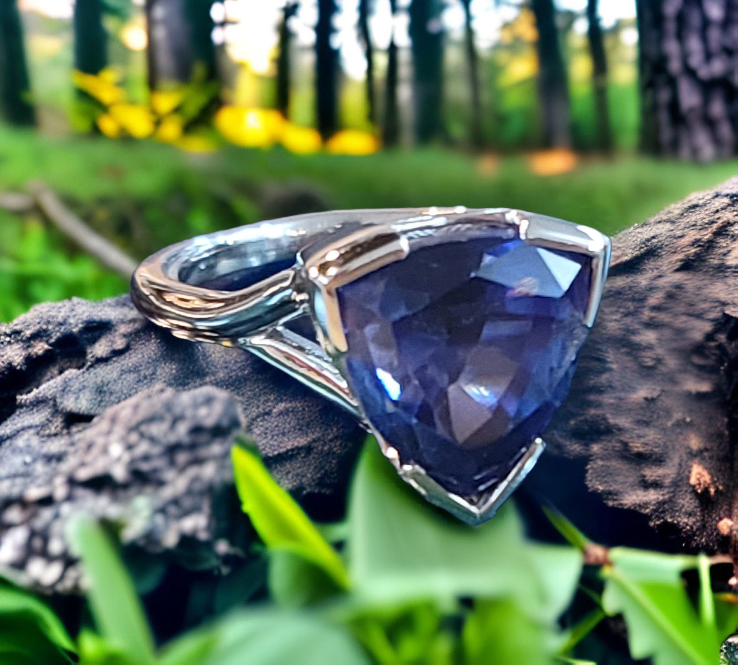 Moss Creek Art custom work: Tanzanite ring PD